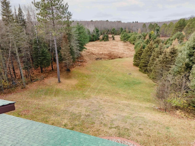 371 Morrison Creek Rd, Iron River, MI 49935 - view of yard