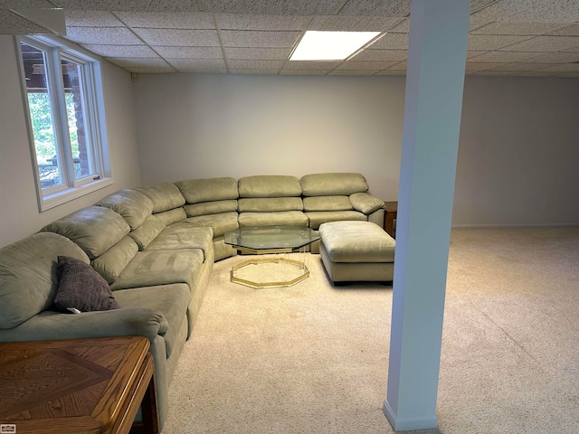 carpeted living room featuring a paneled ceiling