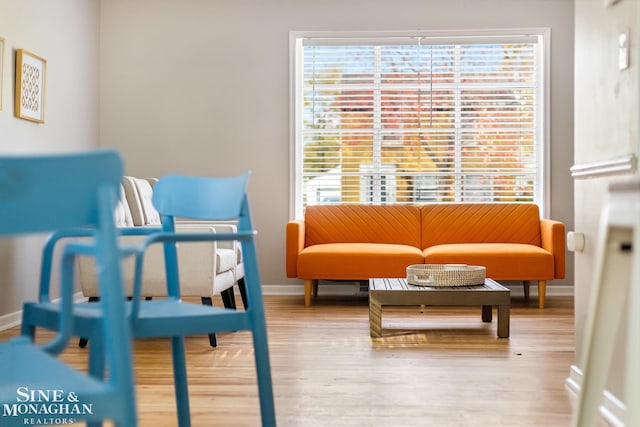 living area with wood-type flooring