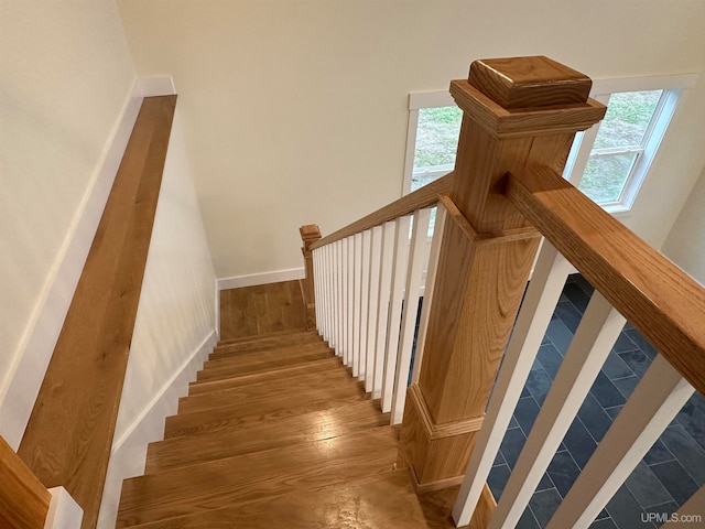 stairway with hardwood / wood-style floors