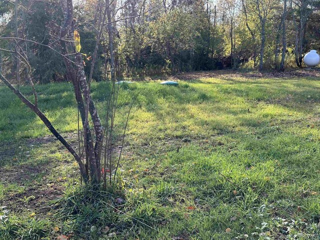 11881 N Junet Rd, Ironwood, MI 49938 - view of yard
