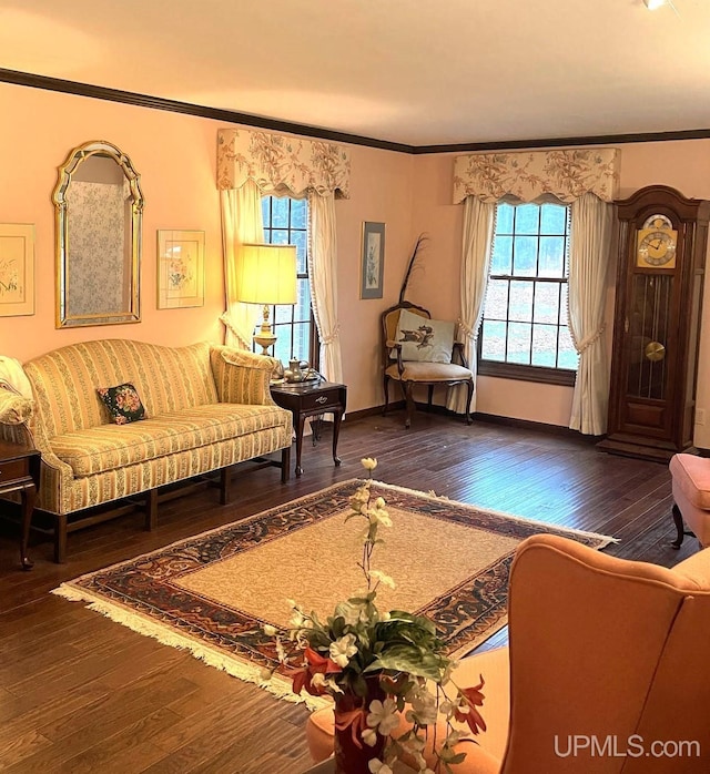 living room with crown molding and dark hardwood / wood-style floors