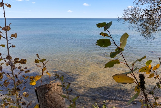 property view of water