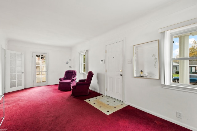 sitting room featuring a wealth of natural light and carpet