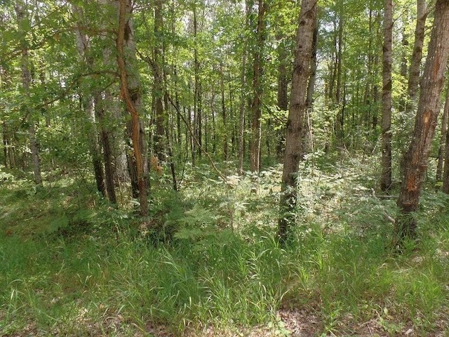 LOT473 Deerwood Trl, Roscommon MI, 48653 land for sale