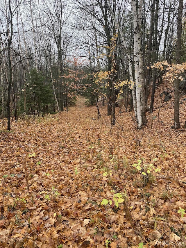 TBD Grandview Dr, Marquette, MI 49855