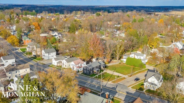 bird's eye view