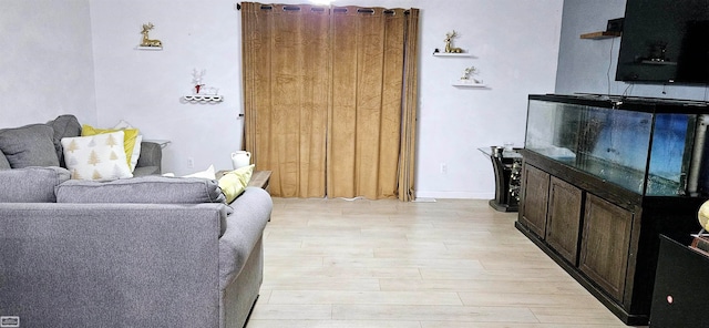 living room featuring light wood-type flooring