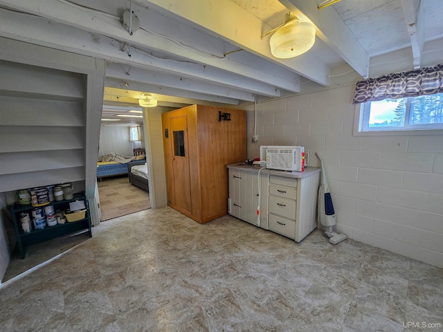 basement with concrete block wall