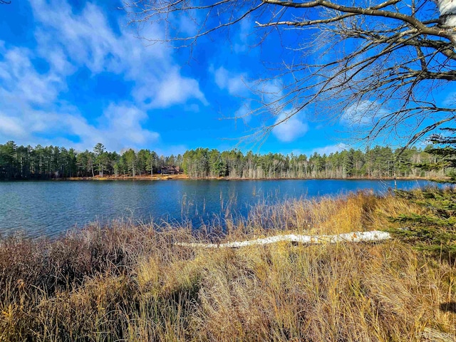 property view of water featuring a forest view