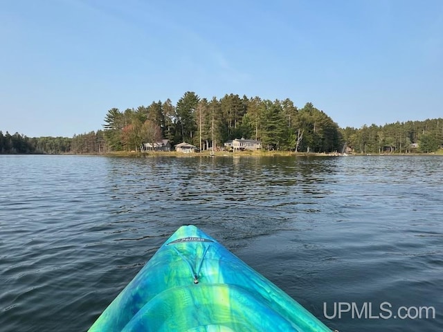 dock area with a water view and a view of trees