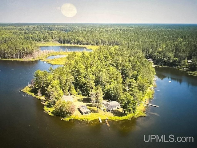 birds eye view of property with a water view and a wooded view