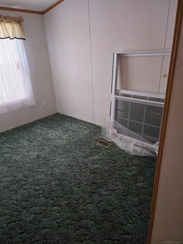 empty room featuring carpet flooring and crown molding