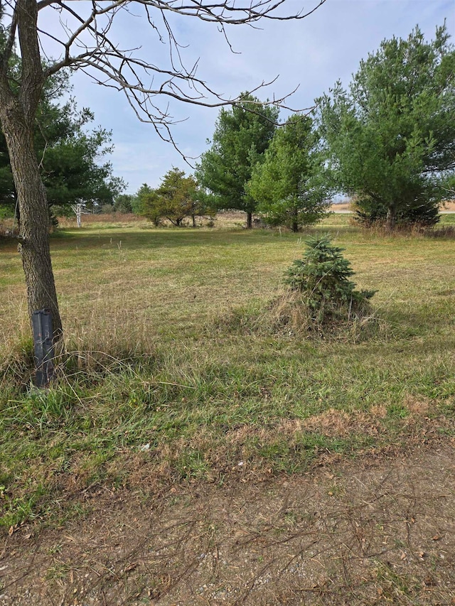 view of yard featuring a rural view