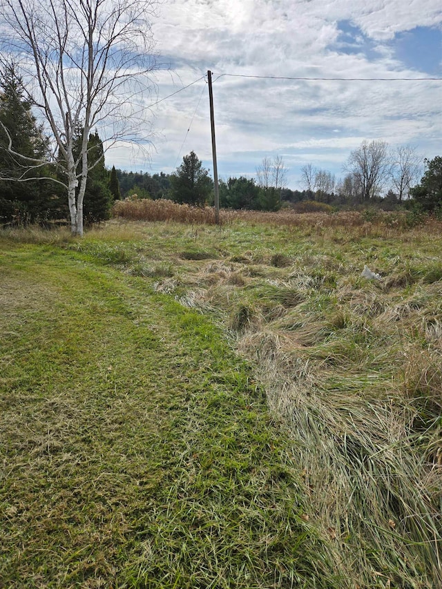 view of yard featuring a rural view