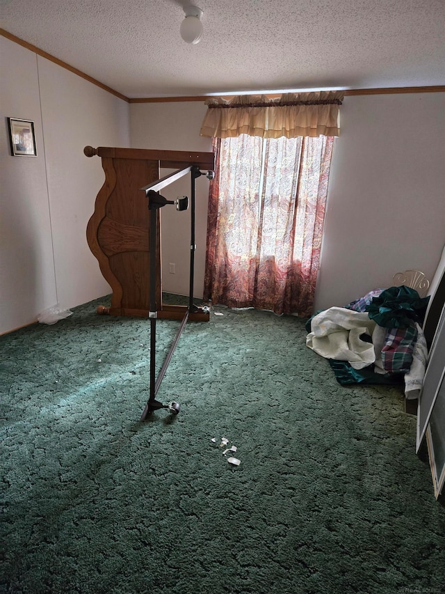 interior space with crown molding, carpet floors, and a textured ceiling