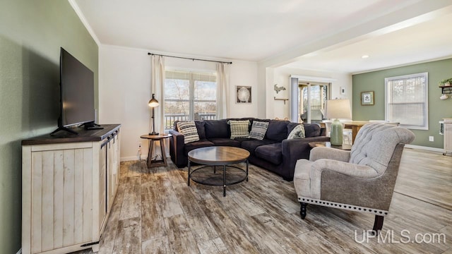 living room featuring ornamental molding, hardwood / wood-style floors, and a healthy amount of sunlight