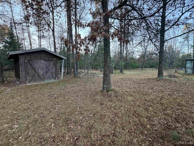 view of yard featuring a shed