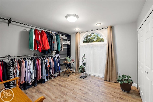 spacious closet with light hardwood / wood-style flooring