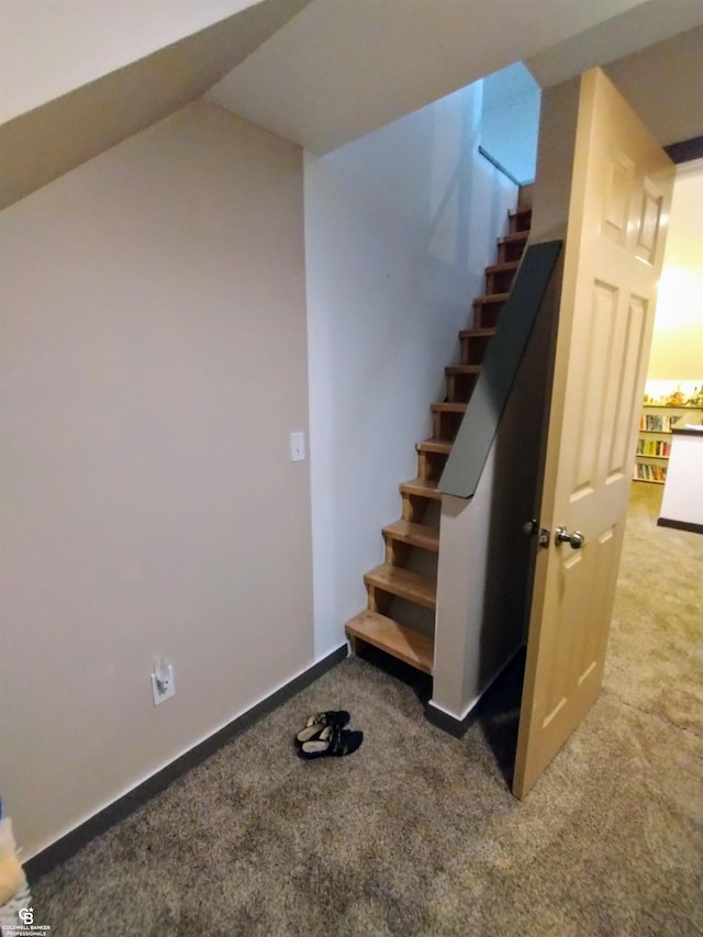 staircase with carpet flooring