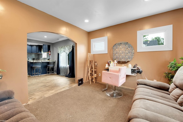 living room featuring a wealth of natural light and light hardwood / wood-style floors