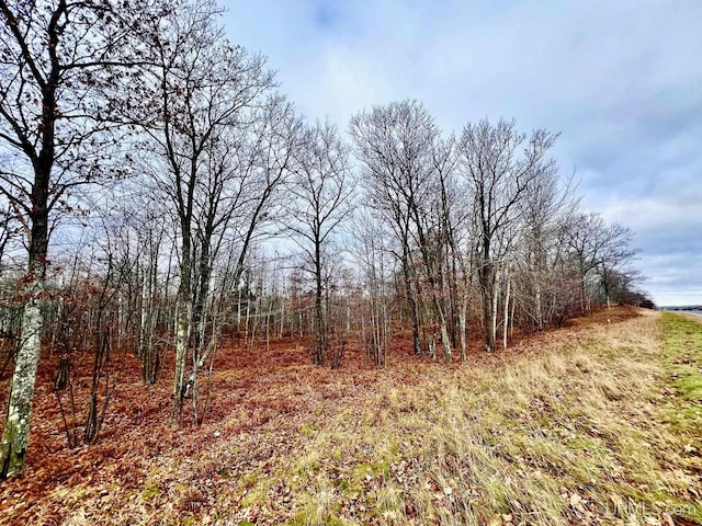 Listing photo 3 for TBD M95 Highway, Iron Mountain MI 49801