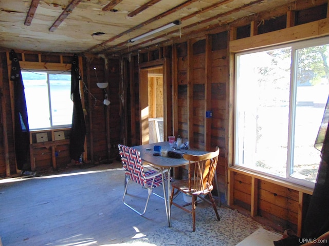 dining area with plenty of natural light