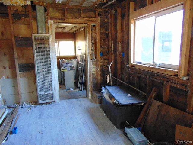 misc room featuring plenty of natural light and light wood-type flooring