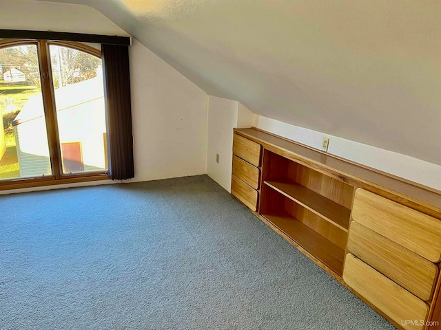 additional living space with a textured ceiling, lofted ceiling, and carpet floors