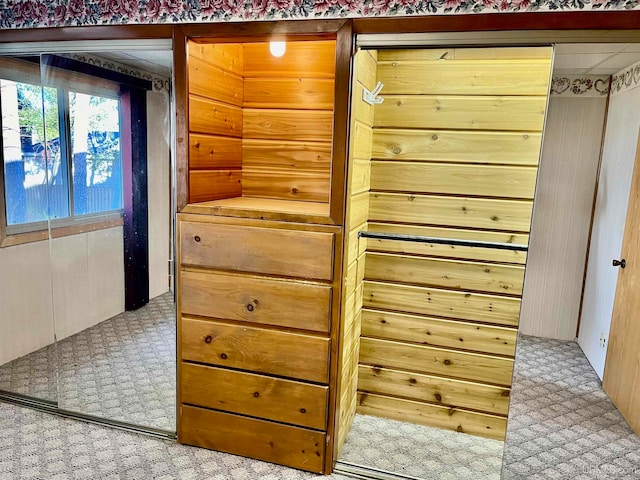 interior details featuring wooden walls and carpet floors