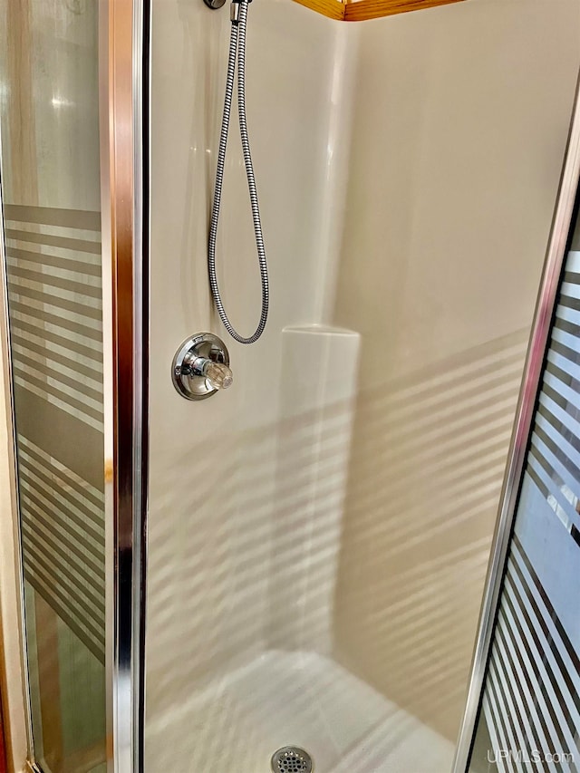 bathroom featuring a shower with door