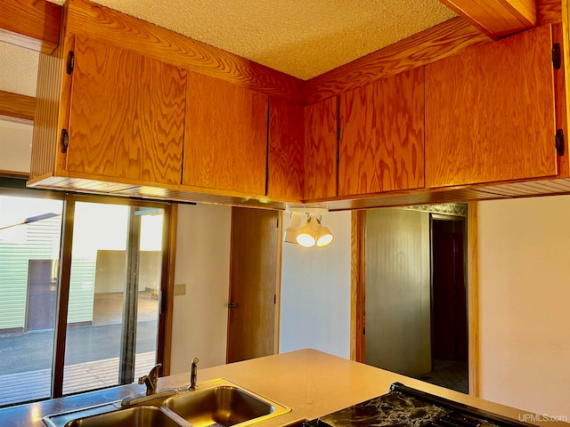 interior details with a textured ceiling and sink