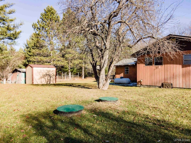 view of yard with a storage unit