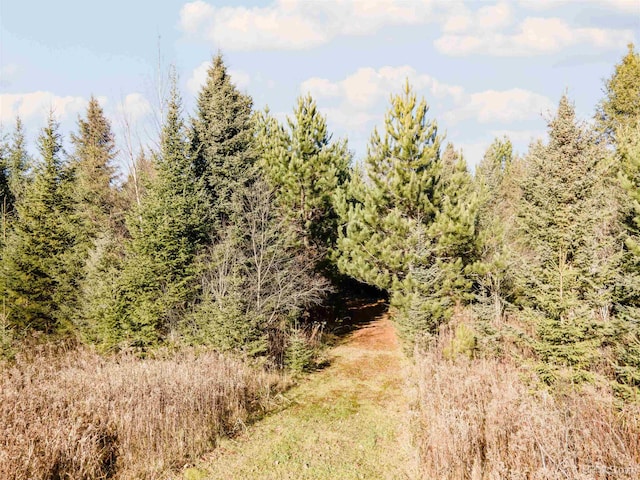 view of landscape