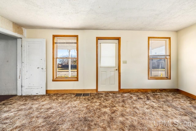 foyer featuring a healthy amount of sunlight, a textured ceiling, and carpet floors