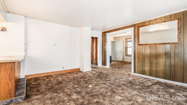 spare room featuring wooden walls and carpet floors