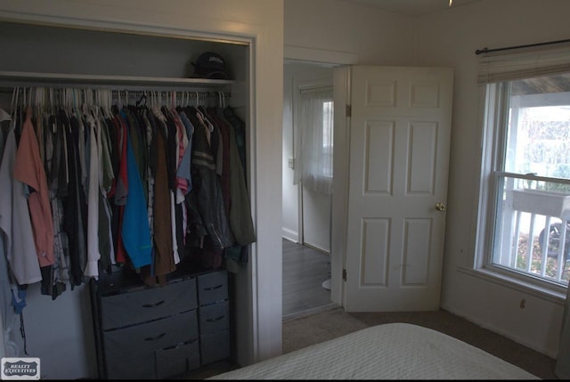 view of closet