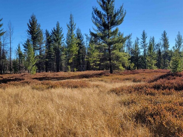 view of local wilderness