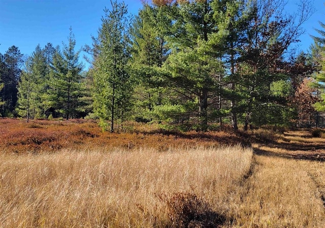 view of local wilderness