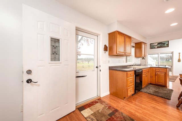 kitchen featuring black dishwasher, light wood-type flooring, and sink