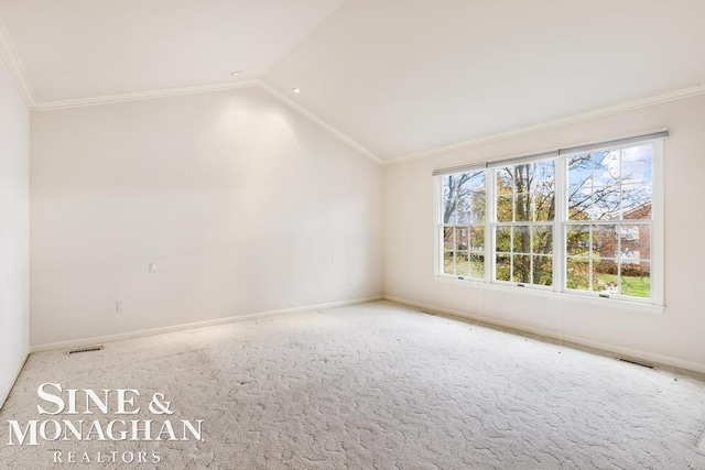 unfurnished room with carpet flooring, plenty of natural light, and lofted ceiling