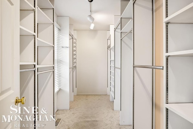 spacious closet with carpet