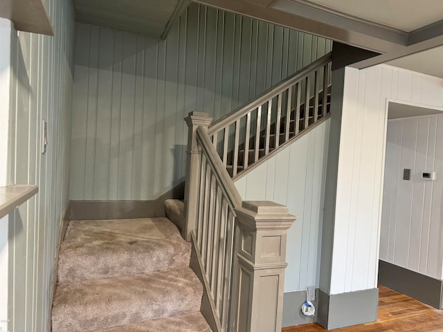 stairs featuring wood-type flooring and wooden walls