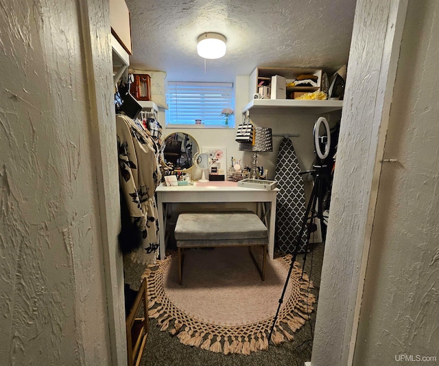 spacious closet featuring carpet floors