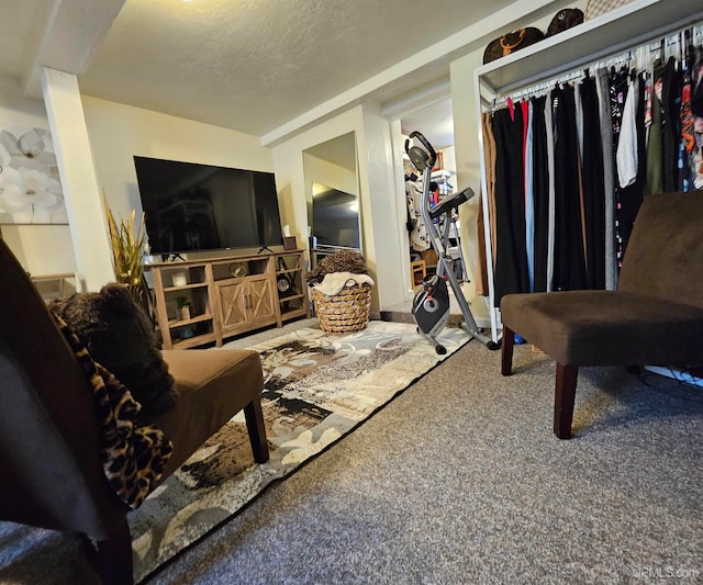 living room with carpet flooring and a textured ceiling