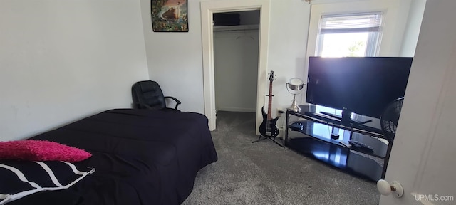 carpeted bedroom featuring a closet