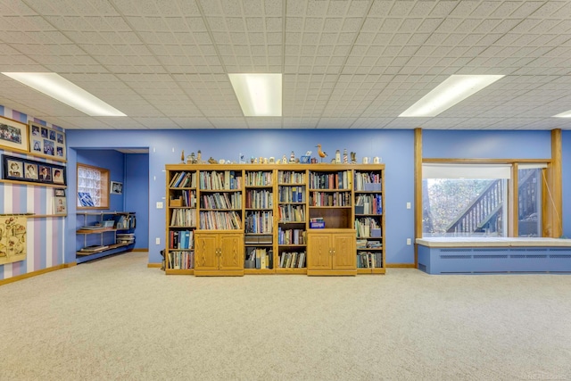 interior space with carpet flooring