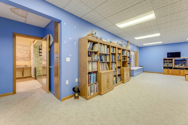 office area featuring carpet