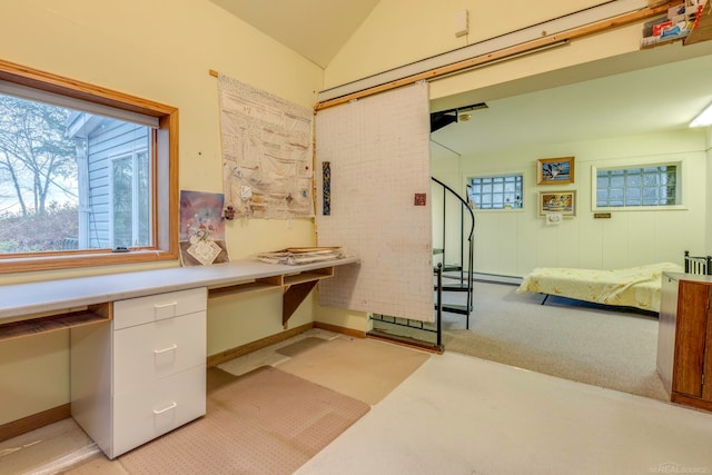 bathroom featuring vaulted ceiling and baseboard heating