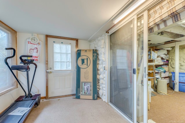 interior space featuring carpet flooring and a healthy amount of sunlight